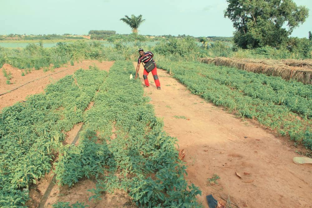 OFFRES AGROTOURISME (Standard) — photo 2