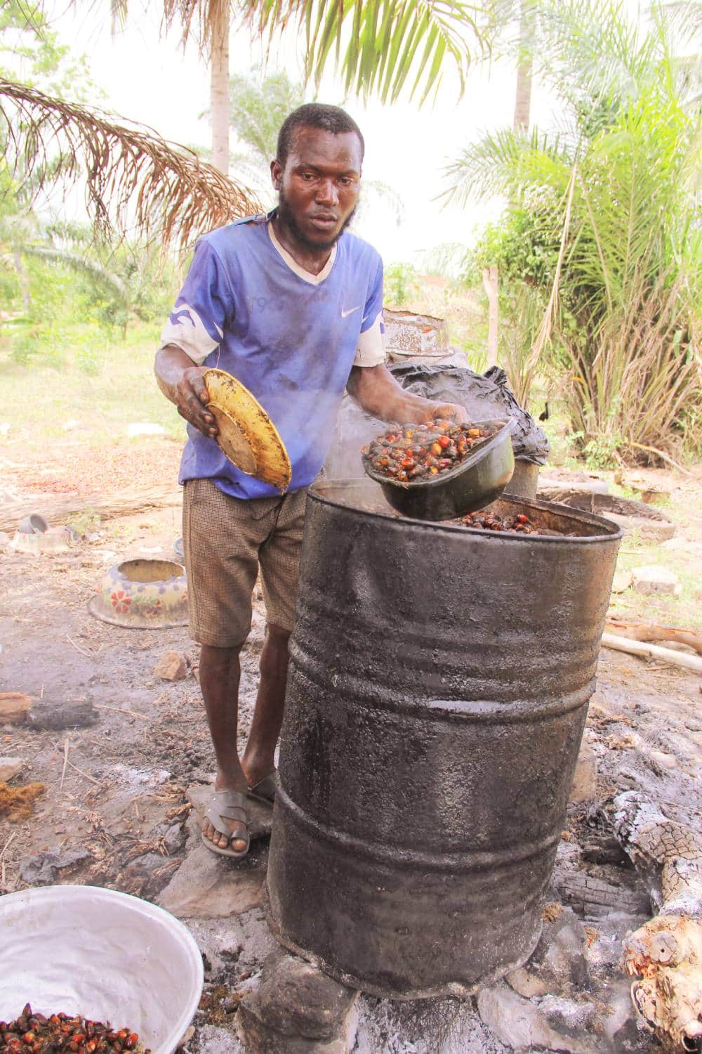 OFFRES AGROTOURISME (PREMIUM) - FABRICATION D’HUILE DE PALME — photo 1