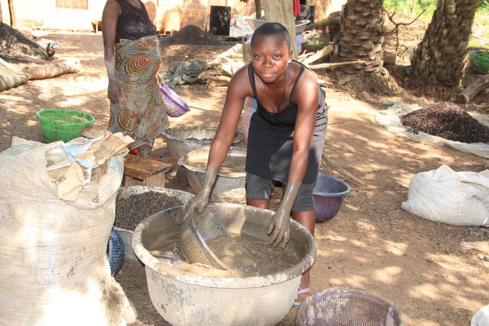 AGROTOURISM OFFER - STANDARD : DISCOVER THE SECRETS OF PALM KERNEL OIL (Tchôtchô) PRODUCTION — photo 2