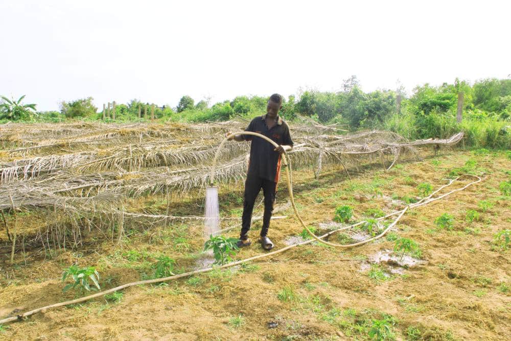 OFFRE AGROTOURISM (Premium) — photo 2