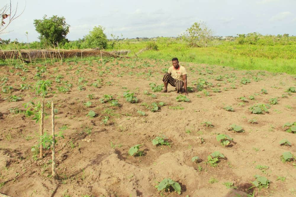OFFRE AGROTOURISM (Premium) — photo 3