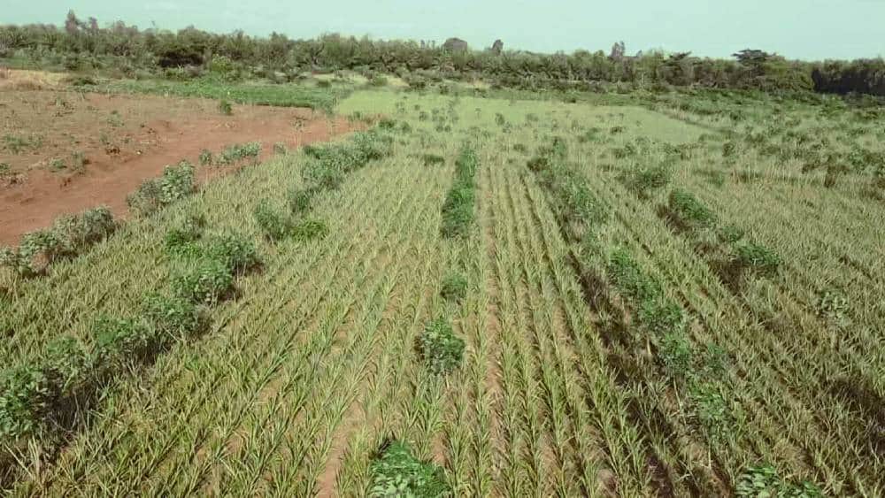 OFFRES AGROTOURISME (Standard) — photo 1
