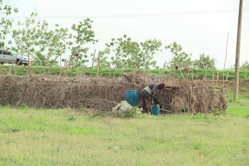 AGROTOURISM OFFERS(VIP)-PALM OIL PRODUCTION — photo 3