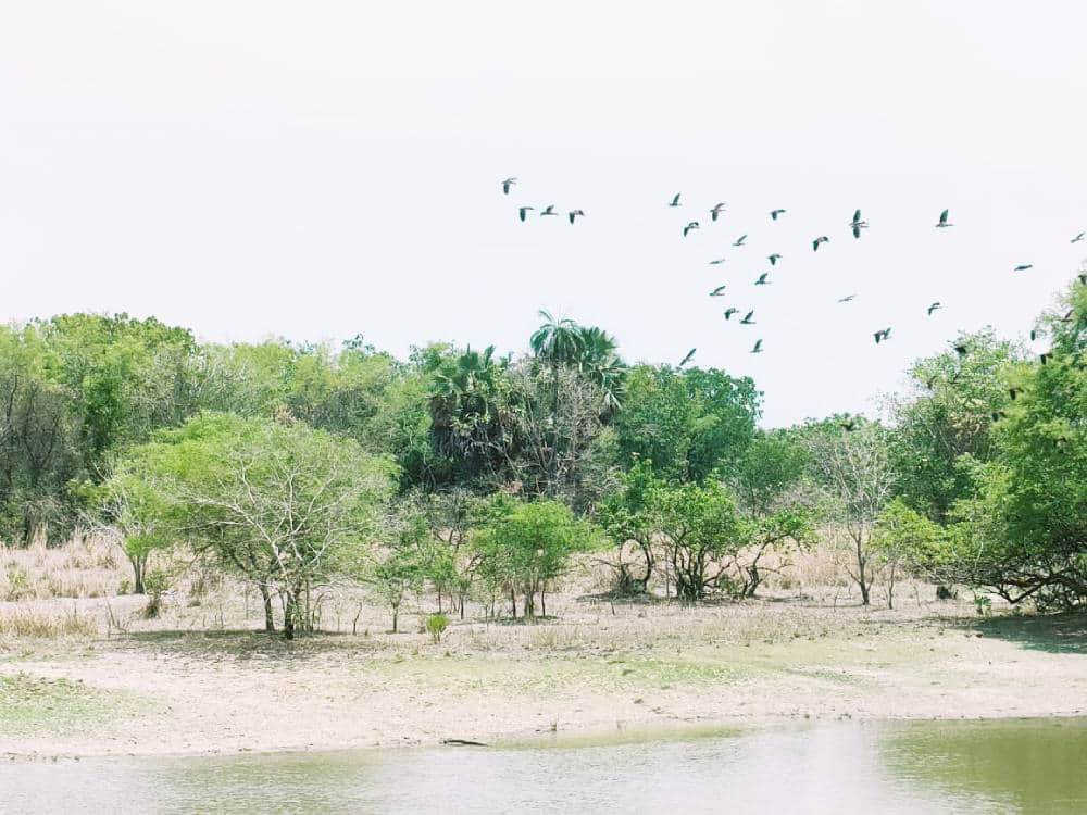 Cotonou-Lomé-Sarakawa-Cotonou — photo 2
