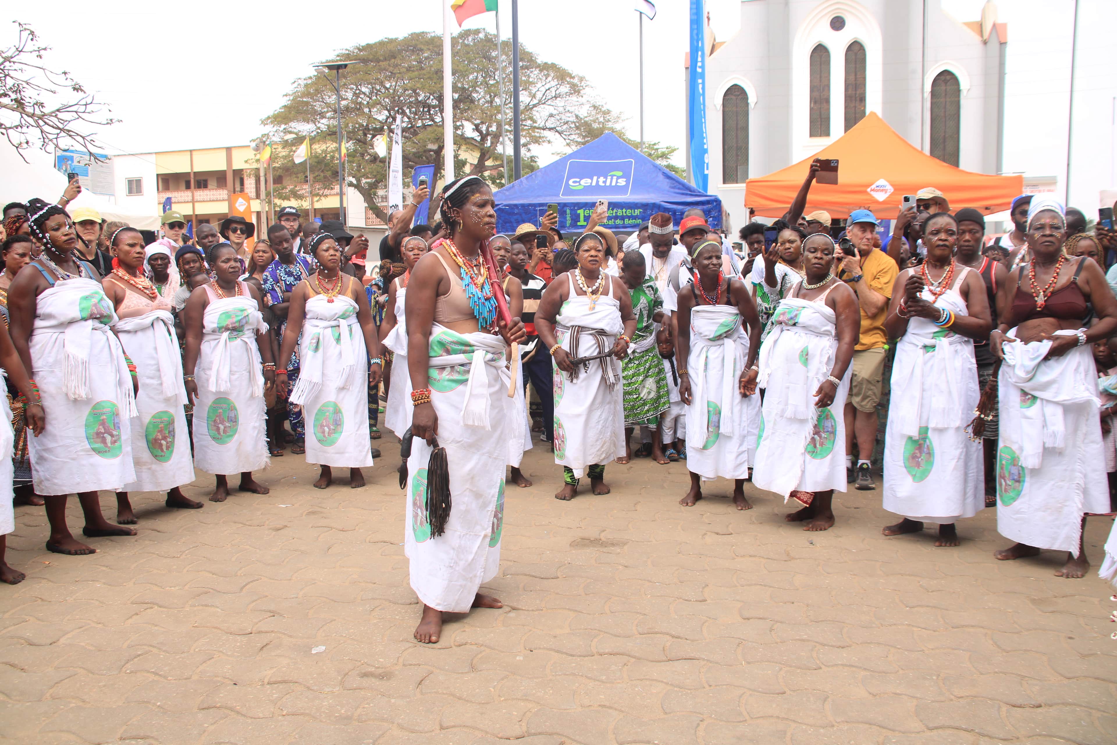 Vodun Days 2027 in Benin - 7 Days — photo 3