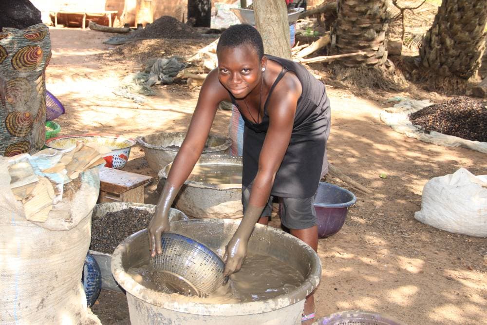 OFFRE AGROTOURISME - VIP : LES SECRETS DE FABRICATION DE L’HUILE PALMISTE (Tcôtchô)