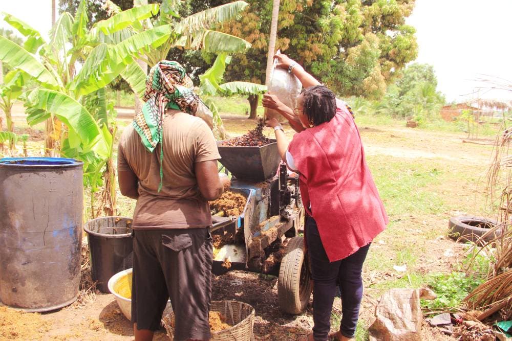 OFFRES AGROTOURISME (Standard) FABRICATION D’HUILE DE PALME