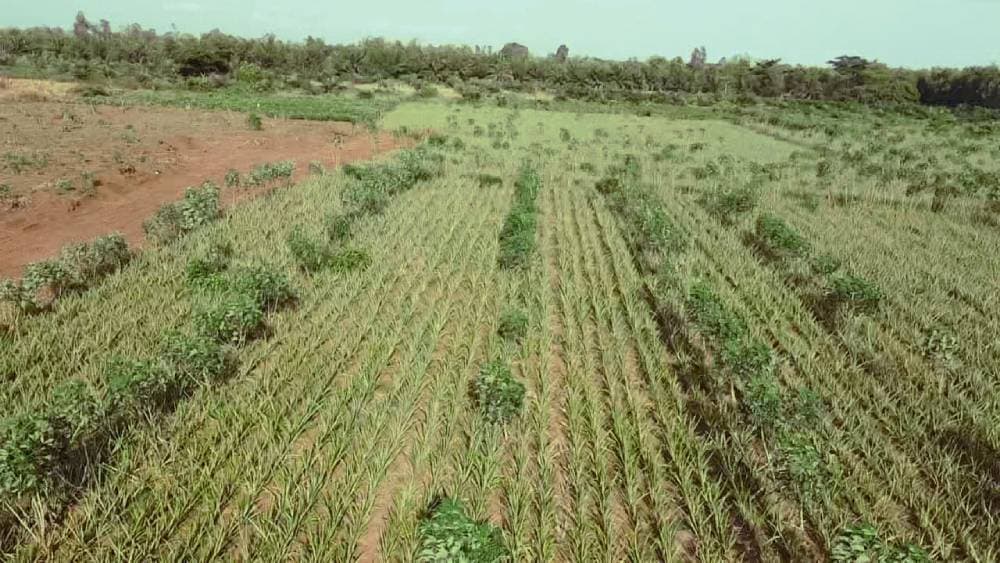 OFFRES AGROTOURISME (Standard)