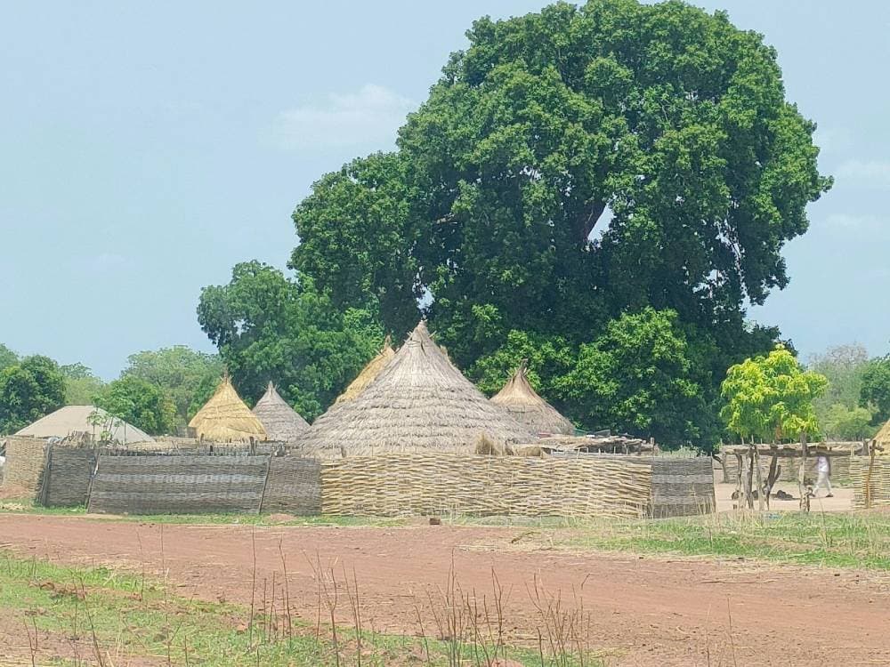 The Africa That 90% of Travelers Will Never See… Still Exists — photo 1