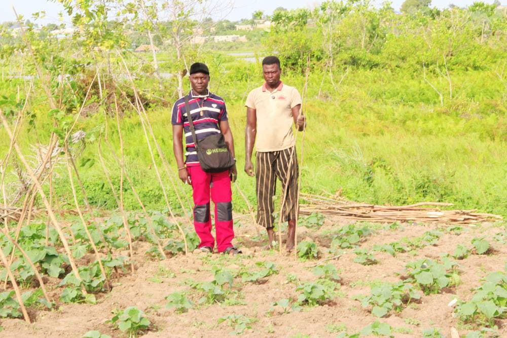 7 expériences agrotouristiques au Bénin : vivez une authentic African experience que 95% des voyageurs ne vivront jamais — photo 1